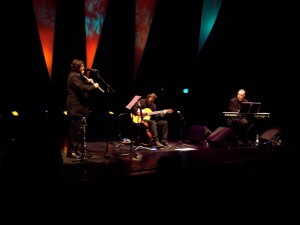 SH20051(Copyright Evil Jam) Steve Hackett Trio at QEH(Copyright Evil Jam)